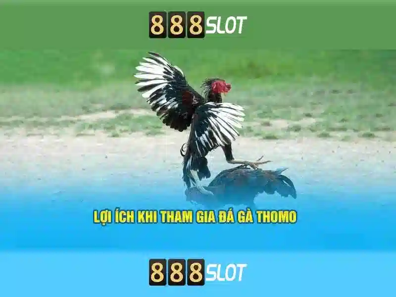 Quy Trình Nạp Tiền