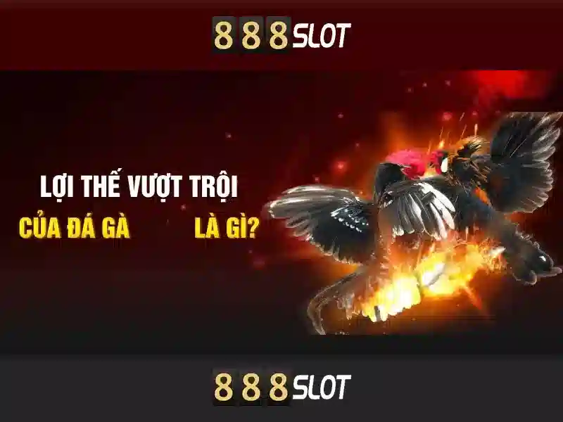 Slot Mega Wheel