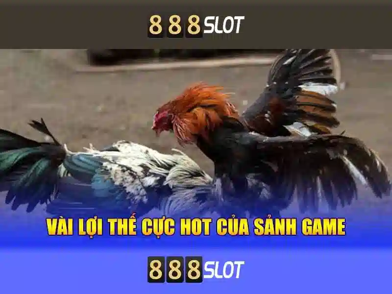 Tại Sao Chọn 888SLOT