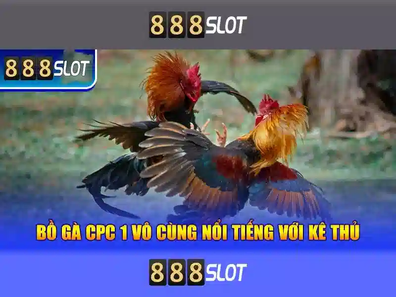 888SLOT - Đánh Giá Chi Tiết Ứng Dụng 888slot Com Apk
