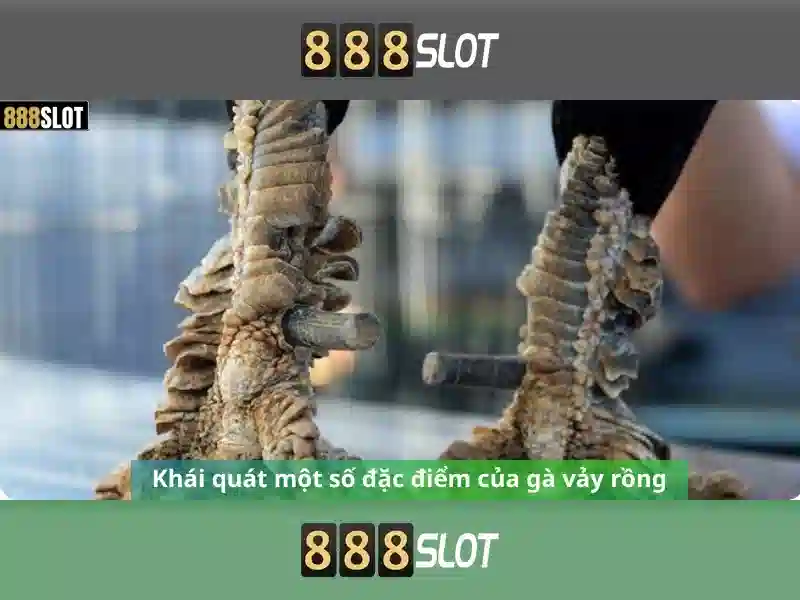 Tỷ lệ thắng cao