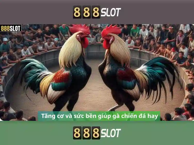 Các trò chơi Slot 888SLOT