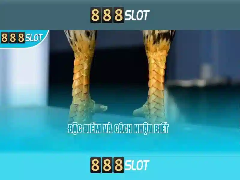 Khuyến Mãi 888SLOT
