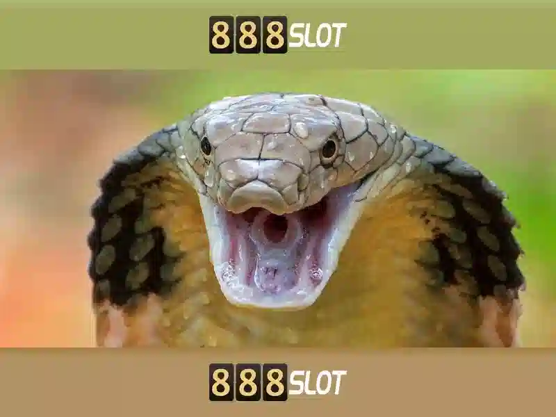 Trải Nghiệm Cá Cược Đỉnh Cao Với 888SLOT