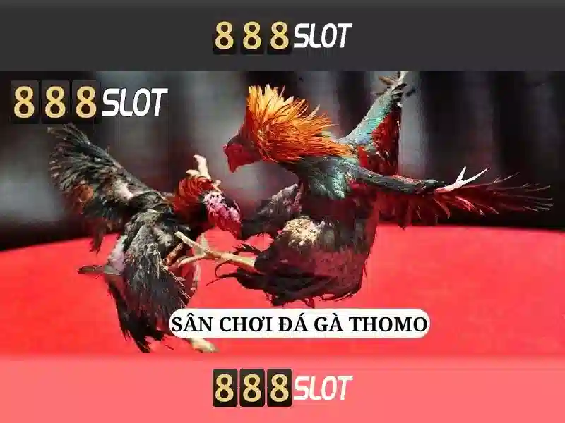 Sân Chơi Slot Đẳng Cấp