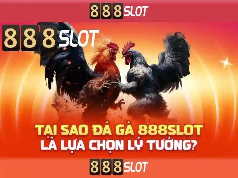 Giới Thiệu Về 888SLOT