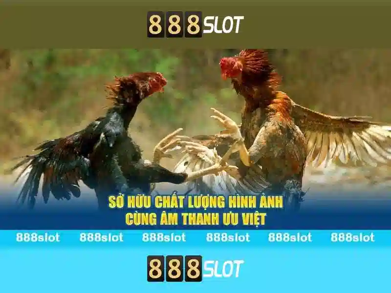 Tại Sao Chọn 888SLOT