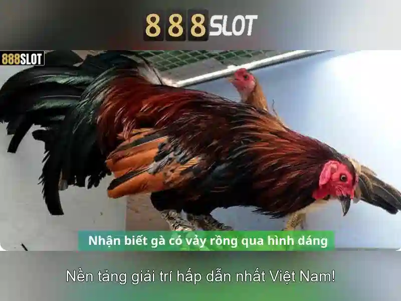 888slot store