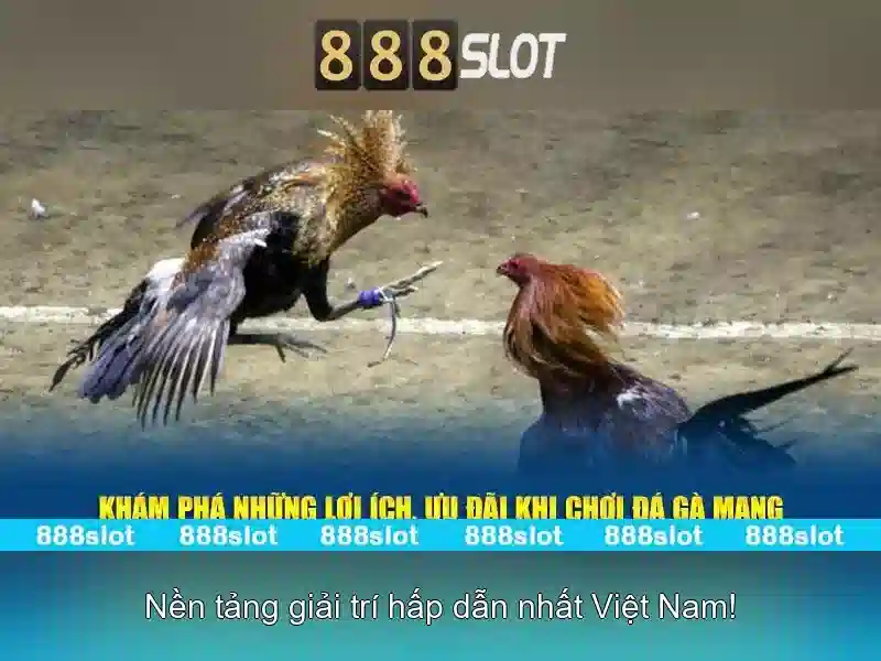 Giới Thiệu Về Thể Thao Ảo 888slot