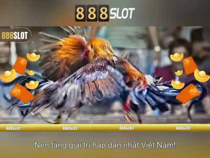 hỗ trợ 24/7 888slot