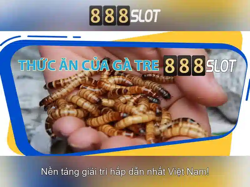 Giới Thiệu Về Barca 888slot