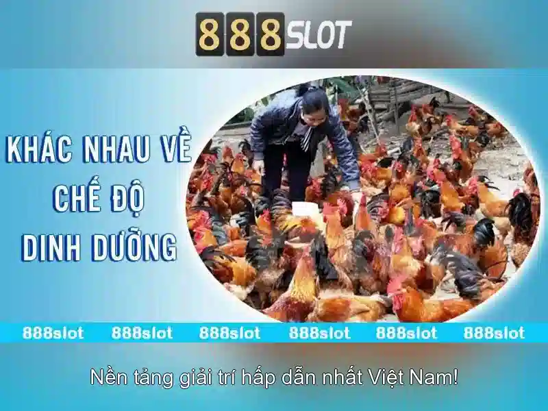 Ưu Điểm Nổi Bật 888 Slot Casino