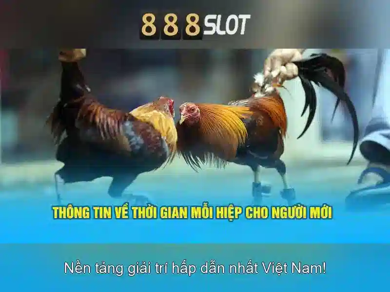 Trải Nghiệm Slot Đỉnh Cao