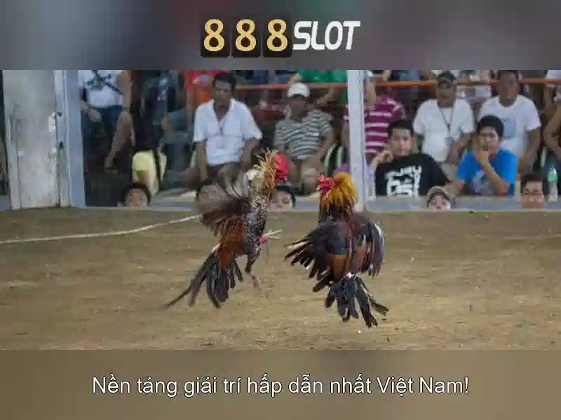 Hướng dẫn đăng nhập 888slot